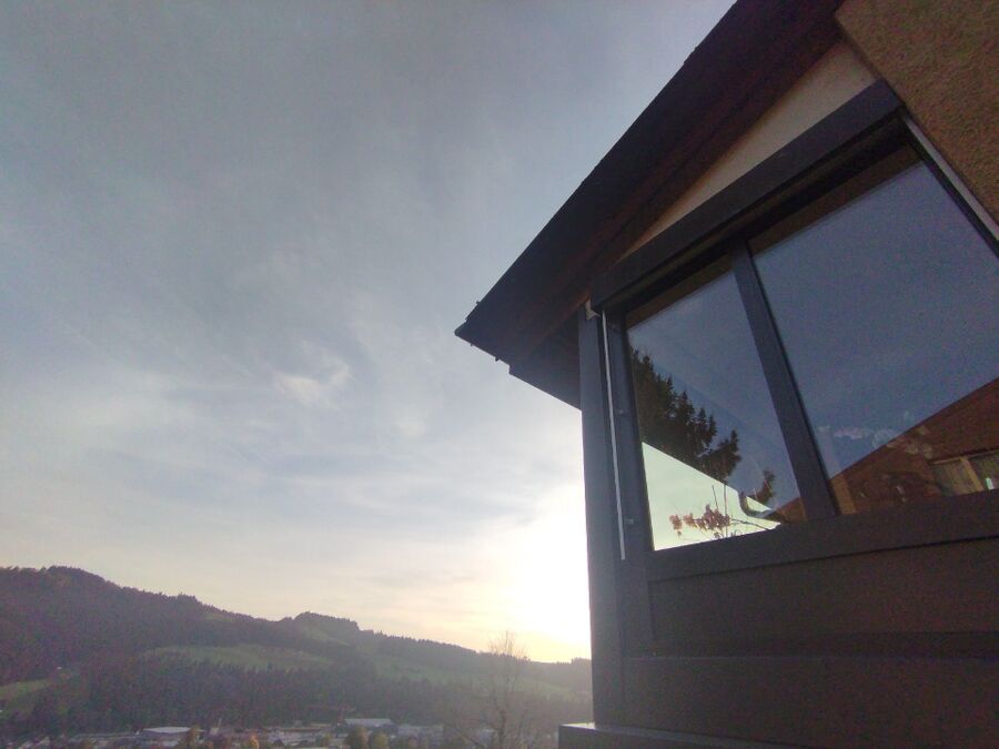 hive-bee (5646).jpeg