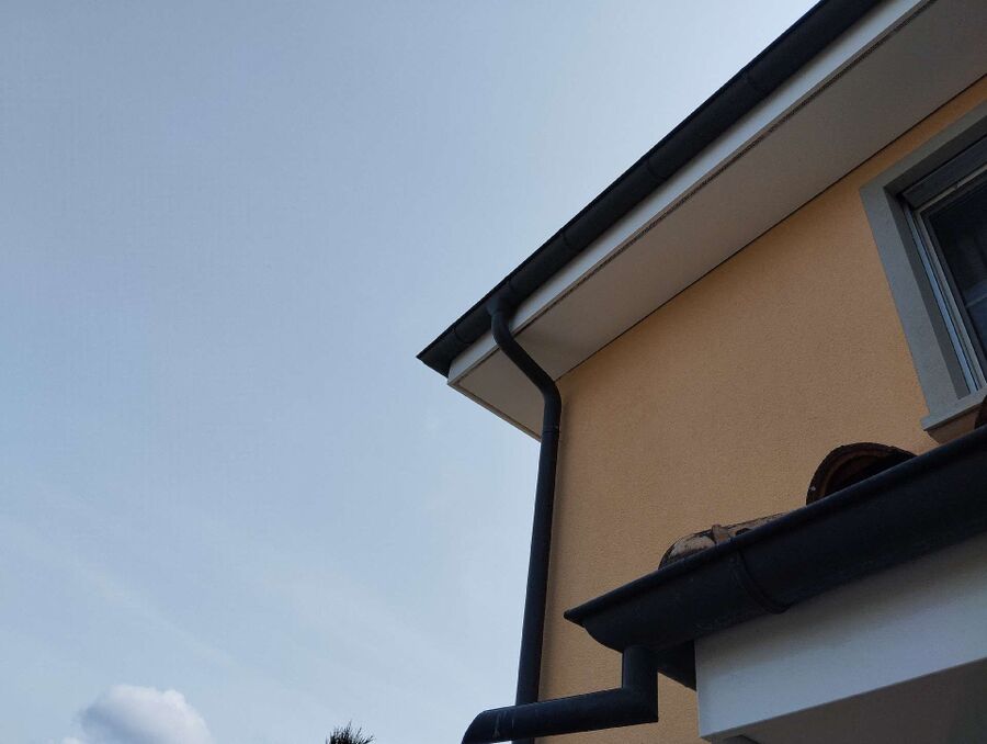 Bee nest at the house remove