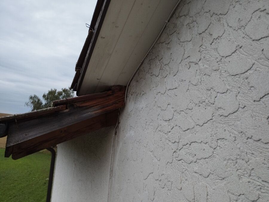 Relocate bees & remove bee nest