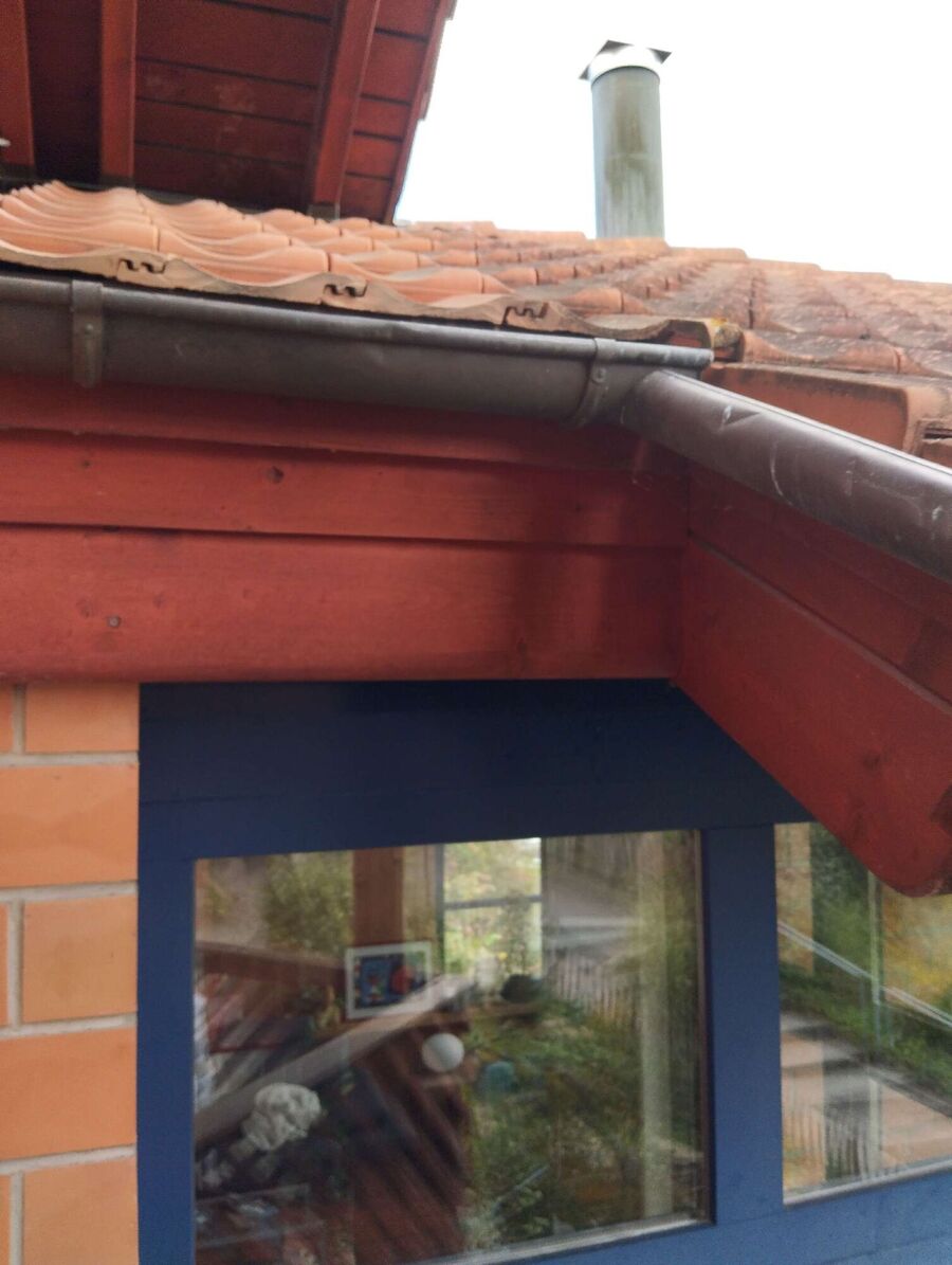 Bee nest at the house remove