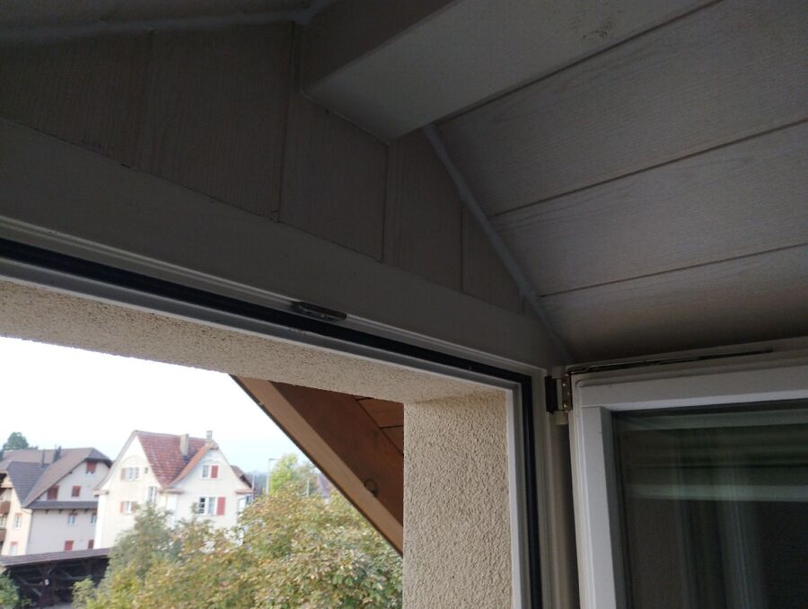 Relocate bees & remove bee nest