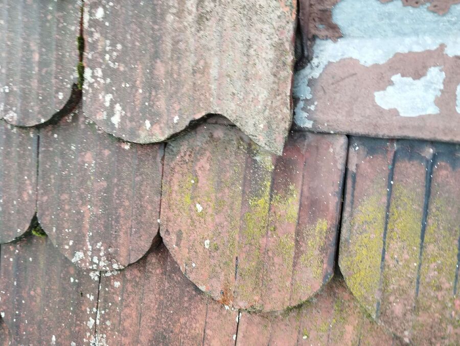 Bee nest at the house remove