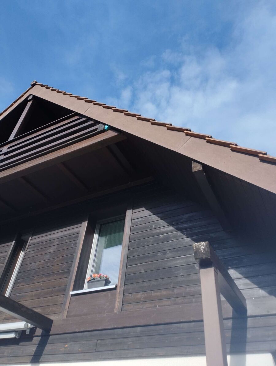 Bee nest at the house remove