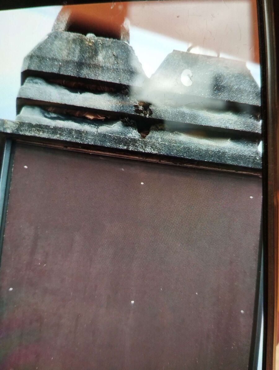 Bee nest at the house remove