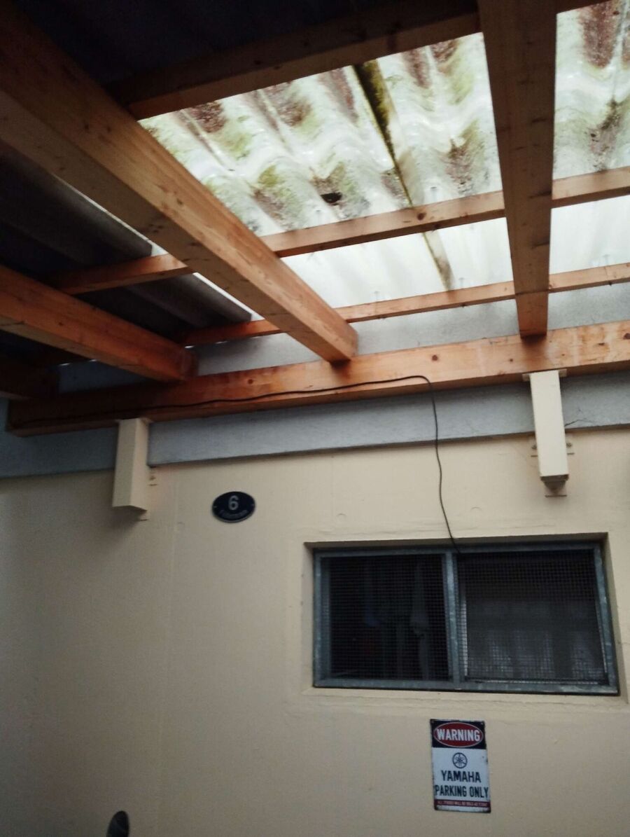 Bee nest at the house remove