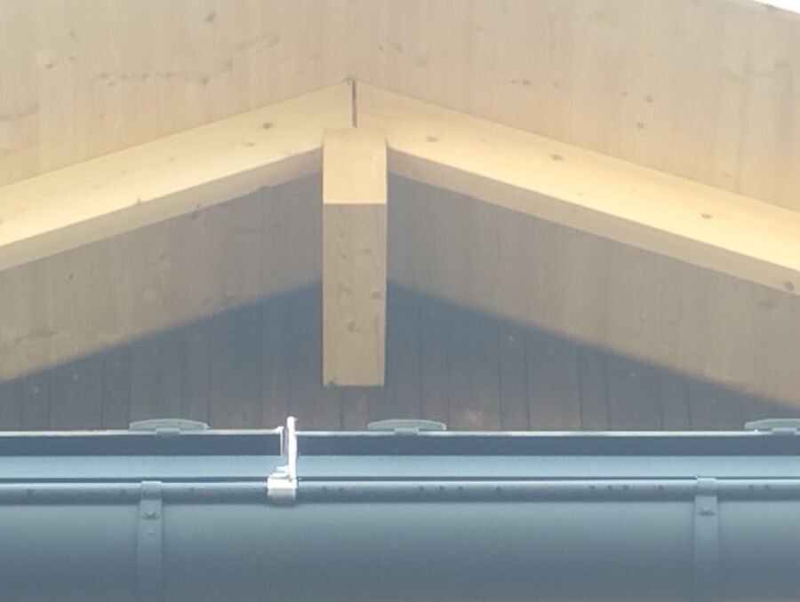 Bee nest at the house remove