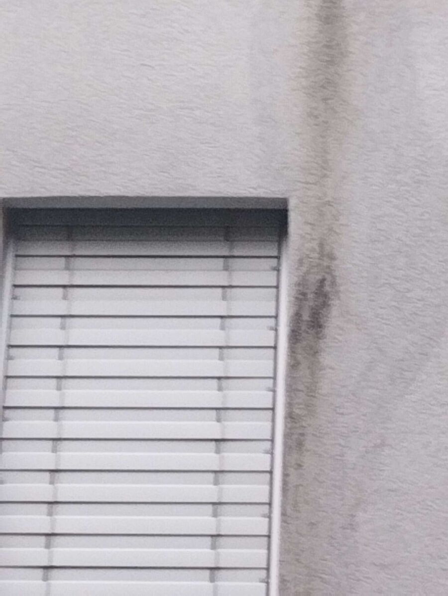 Bee nest at the house remove