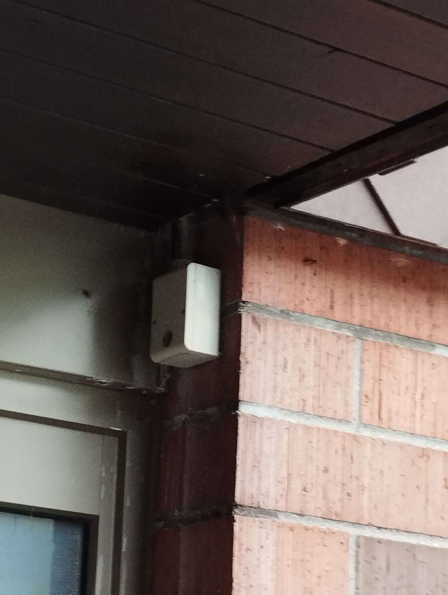 Bee nest at the house remove