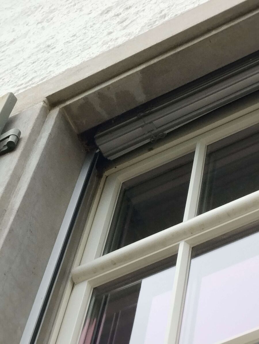 Bee nest at the house remove