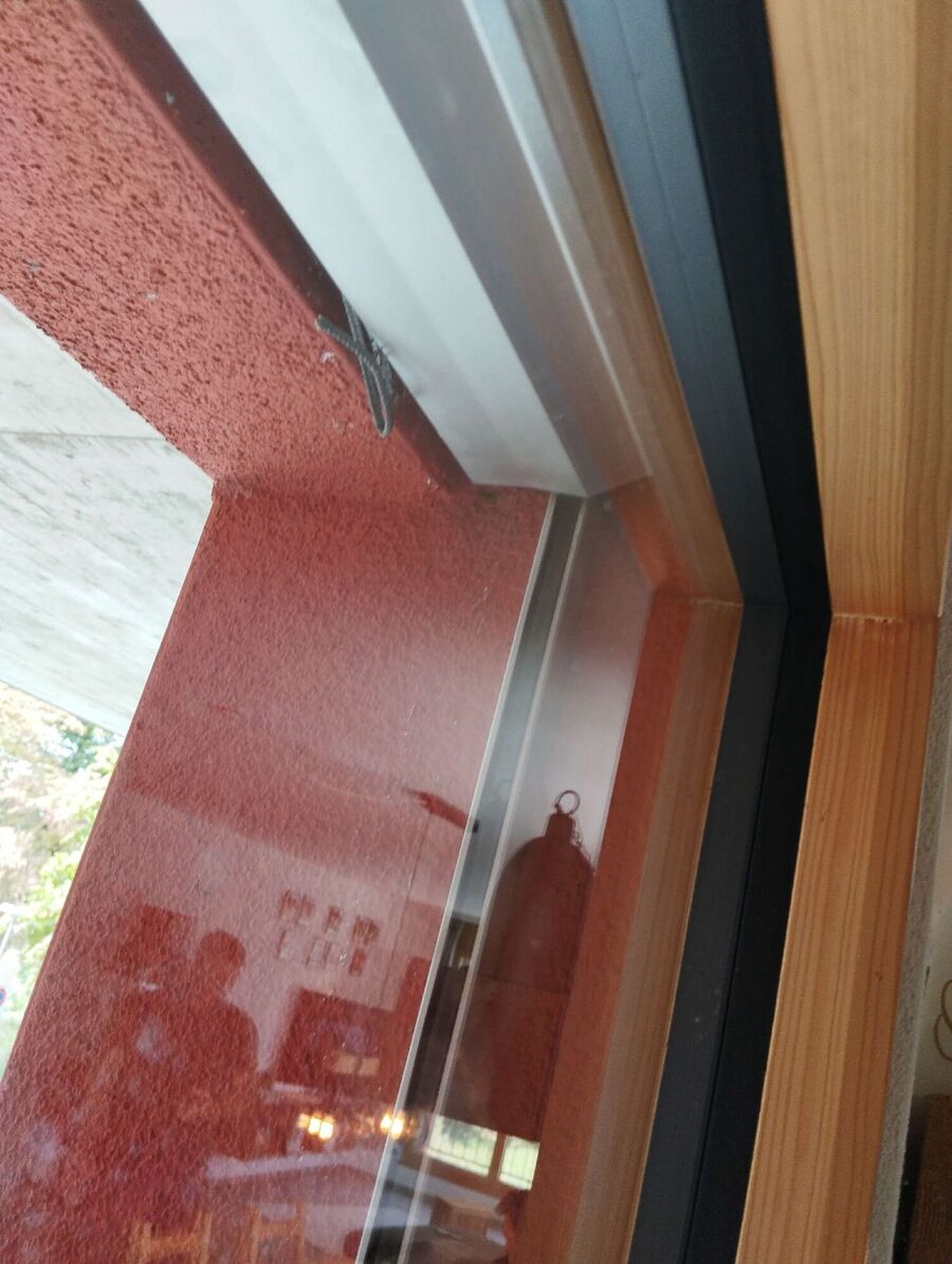 Bee nest at the house remove