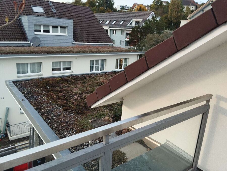 Bee nest at the house remove