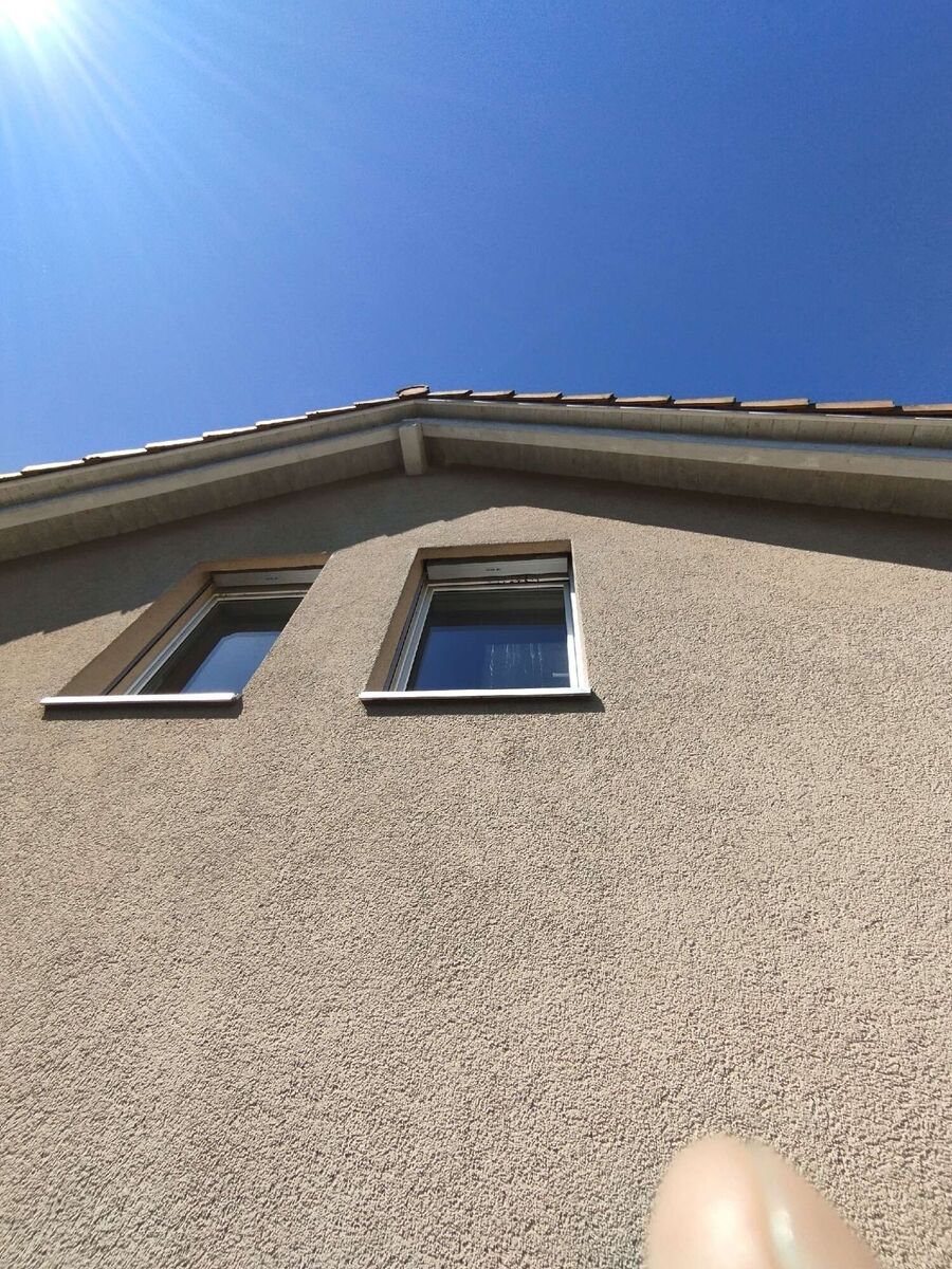 Bee nest at the house remove