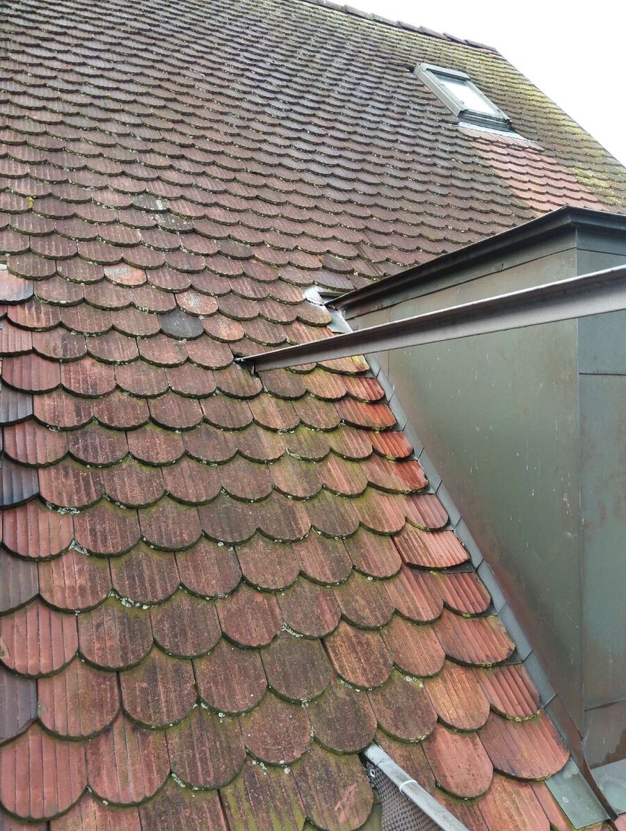 Bee nest at the house remove