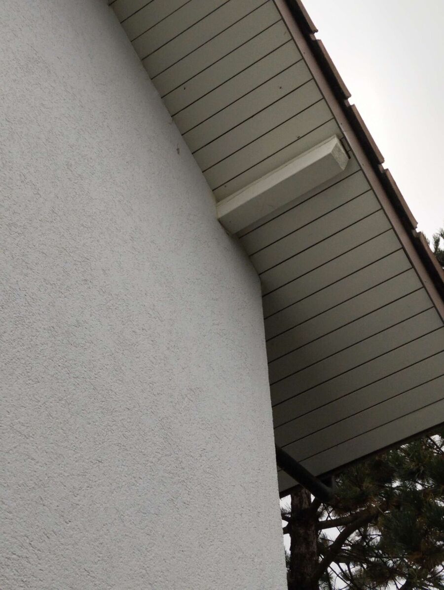 Bee nest at the house remove