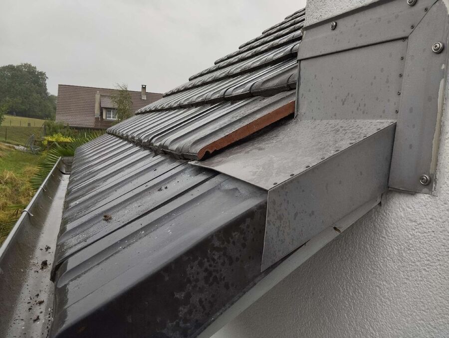 Relocate bees & remove bee nest