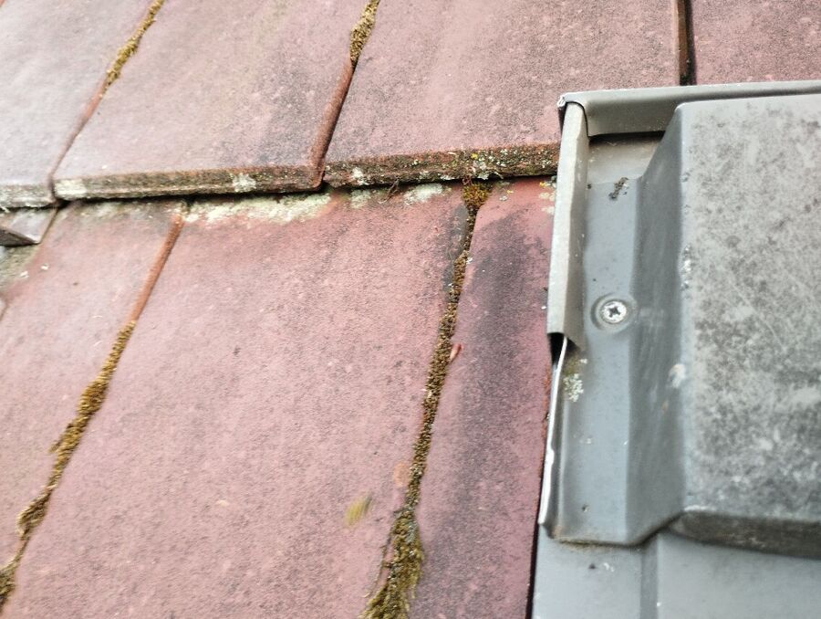 Bee nest at the house remove