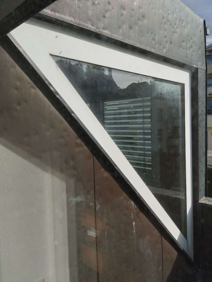 Bee nest at the house remove