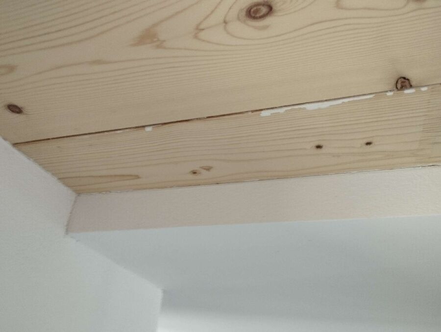 Bee nest at the house remove