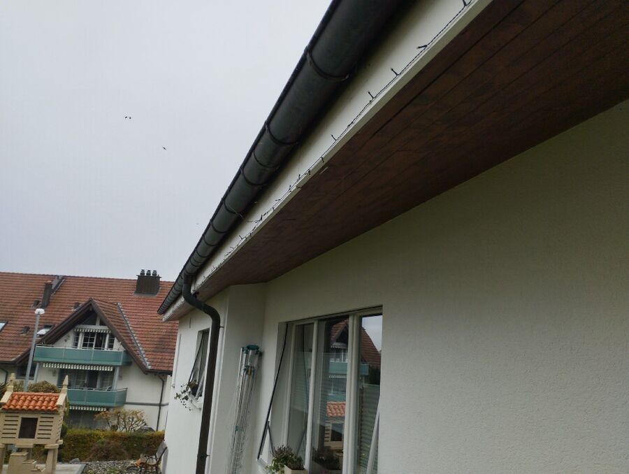 Bee nest at the house remove