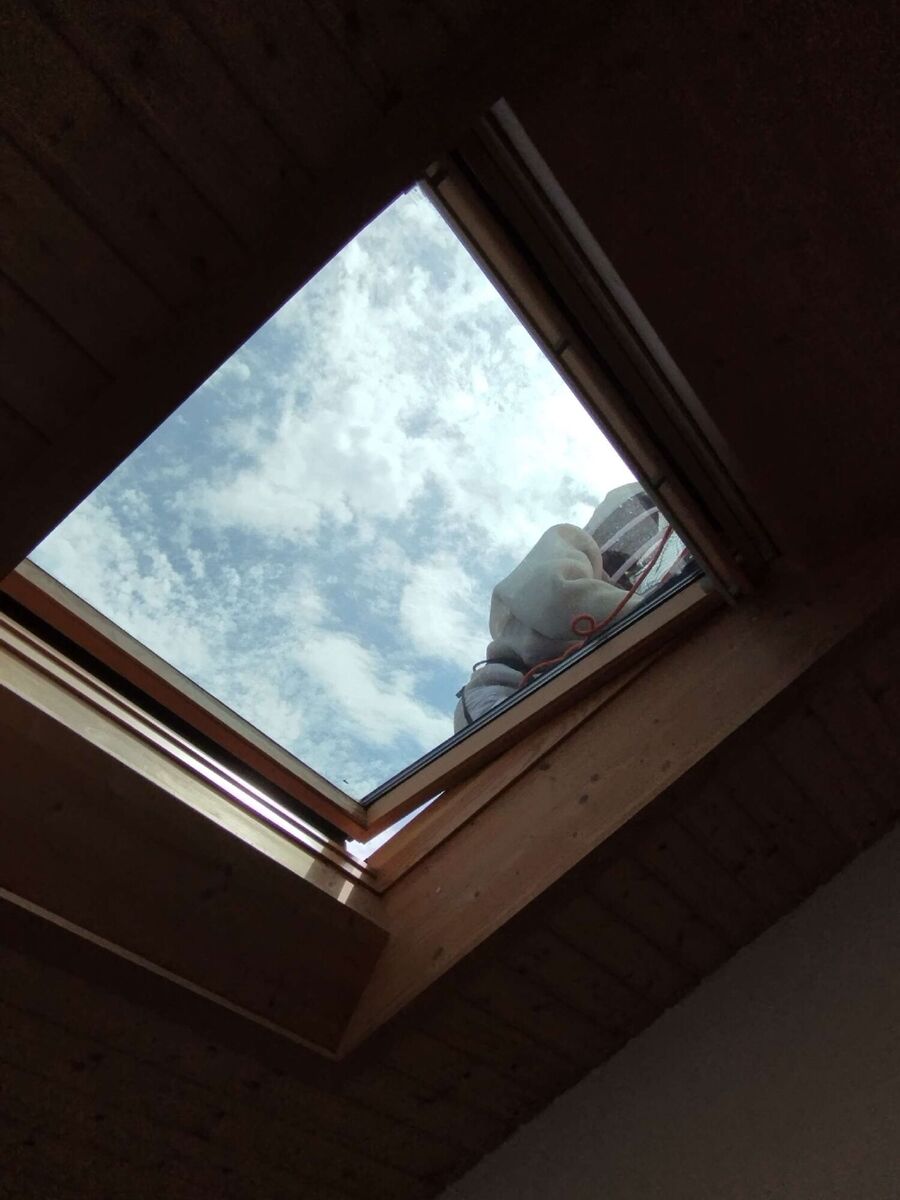 Bee nest at the house remove