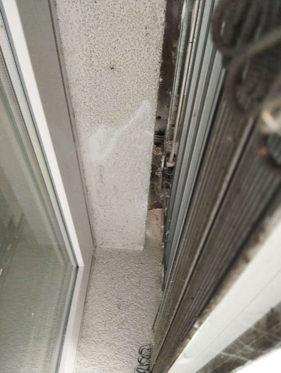 Relocate bees & remove bee nest