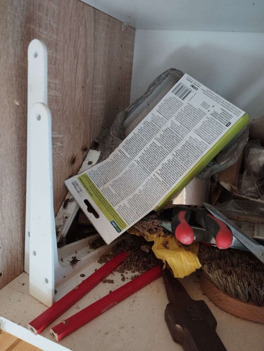 Bee nest at the house remove