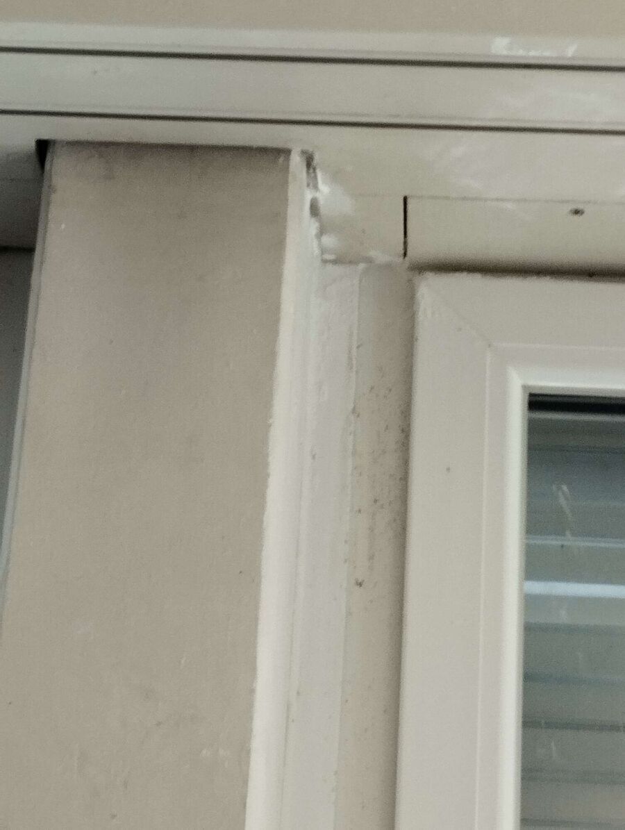 Bee nest at the house remove