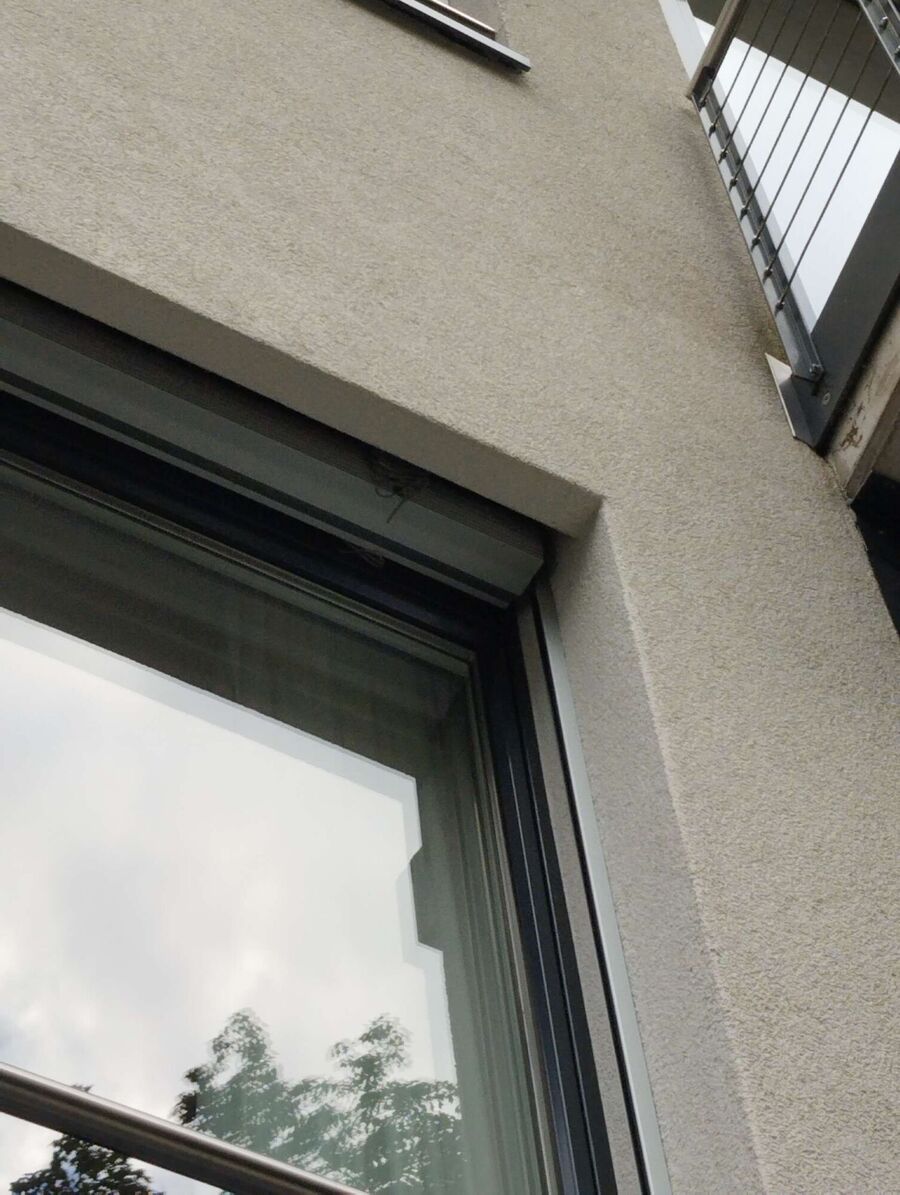 Bee nest at the house remove