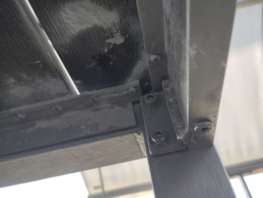 Relocate bees & remove bee nest