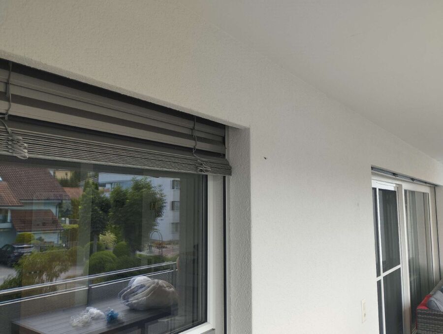 Bee nest at the house remove