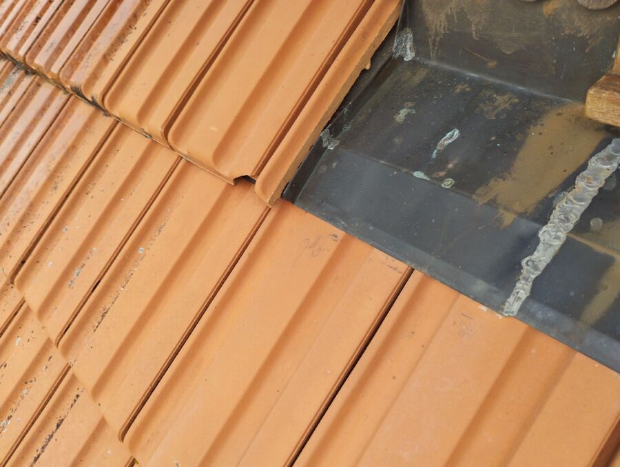 Bee nest at the house remove