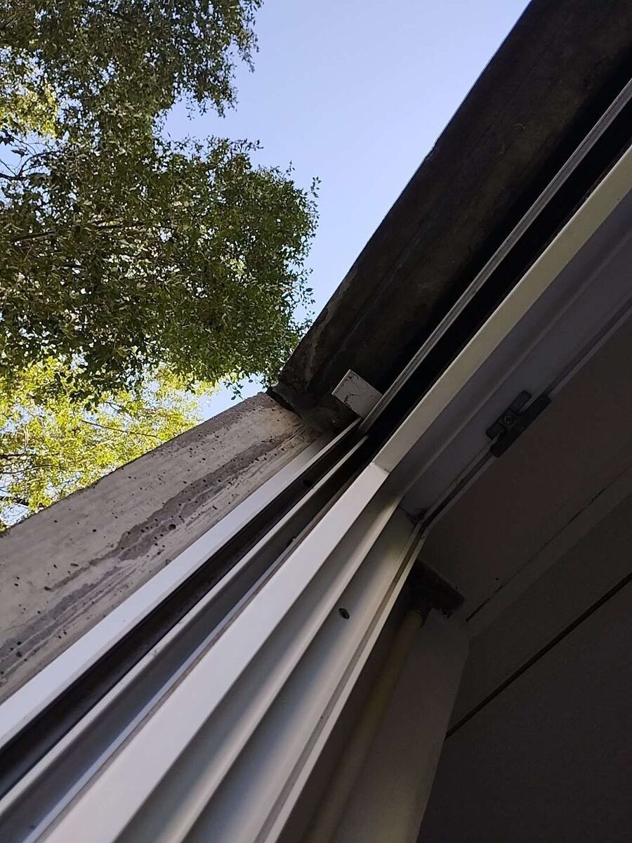 Relocate bees & remove bee nest