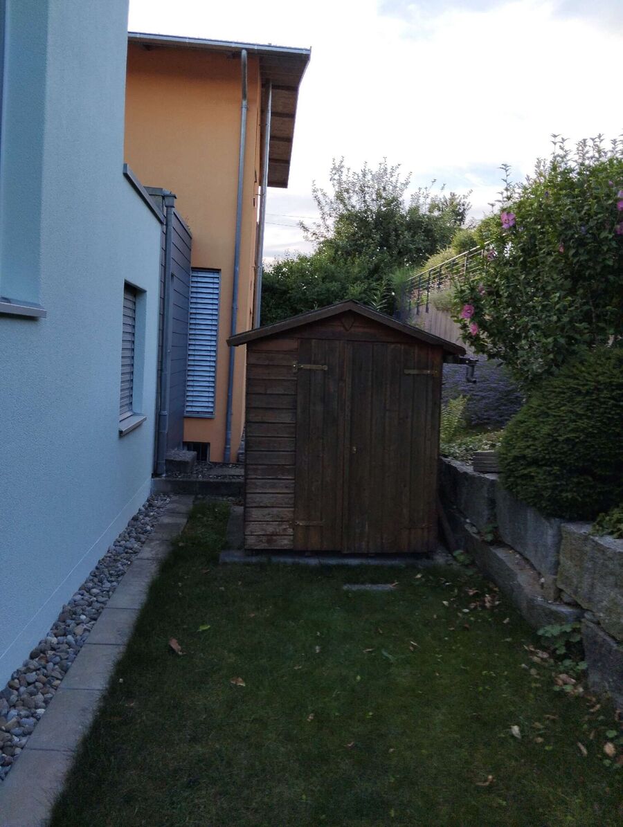 Bee nest at the house remove