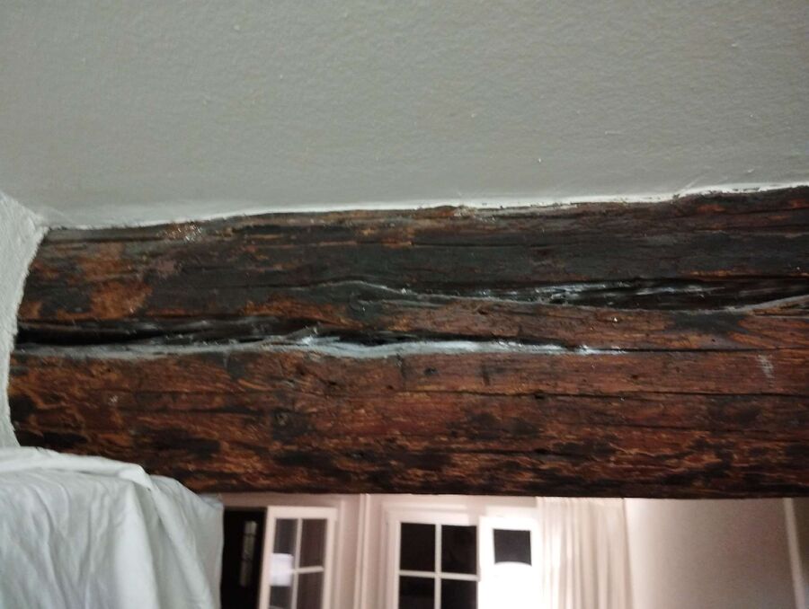 Relocate bees & remove bee nest