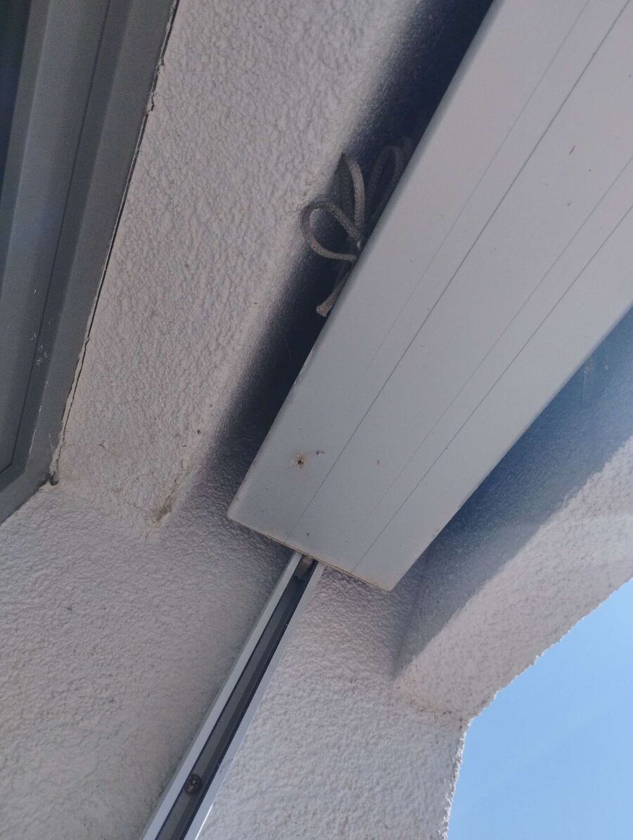 Bee nest at the house remove