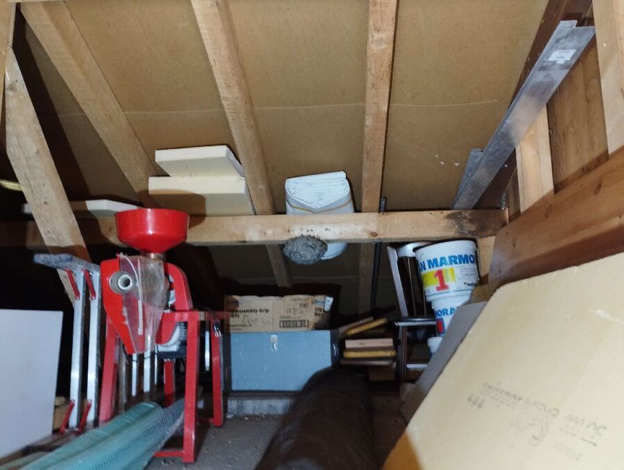 Relocate bees & remove bee nest