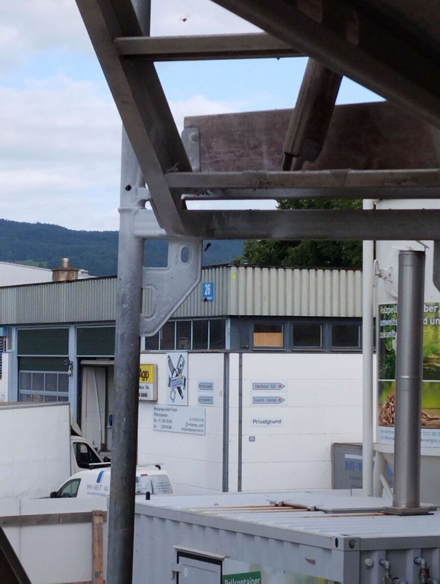 Bee nest at the house remove