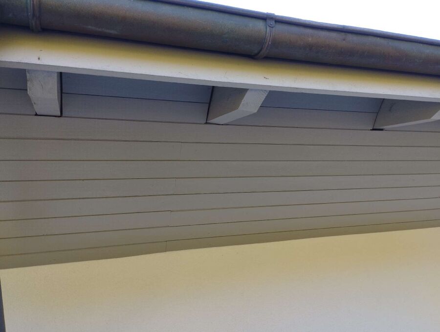 Bee nest at the house remove