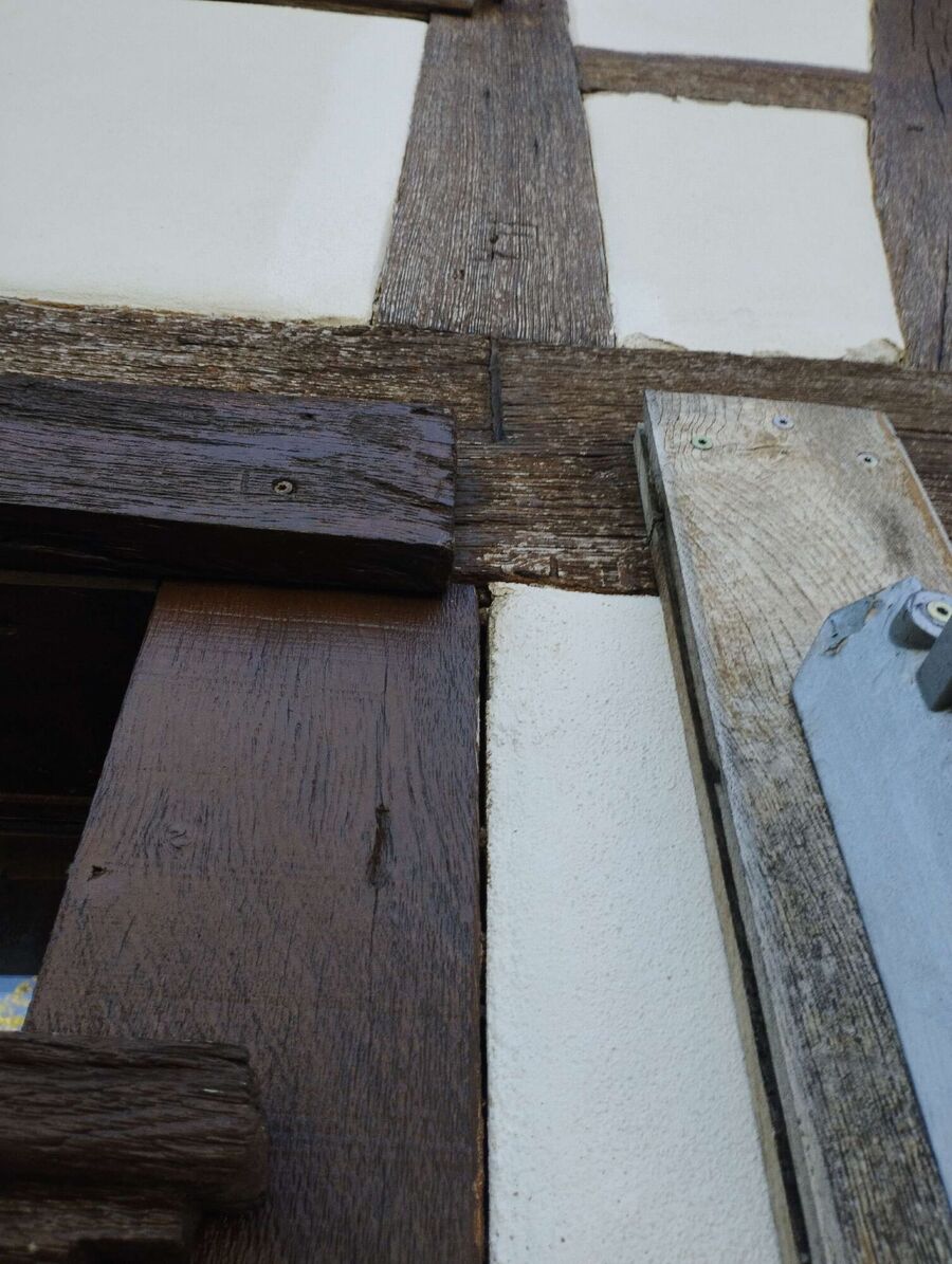 Bee nest at the house remove