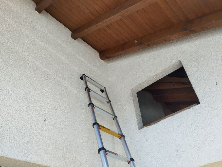 Bee nest at the house remove