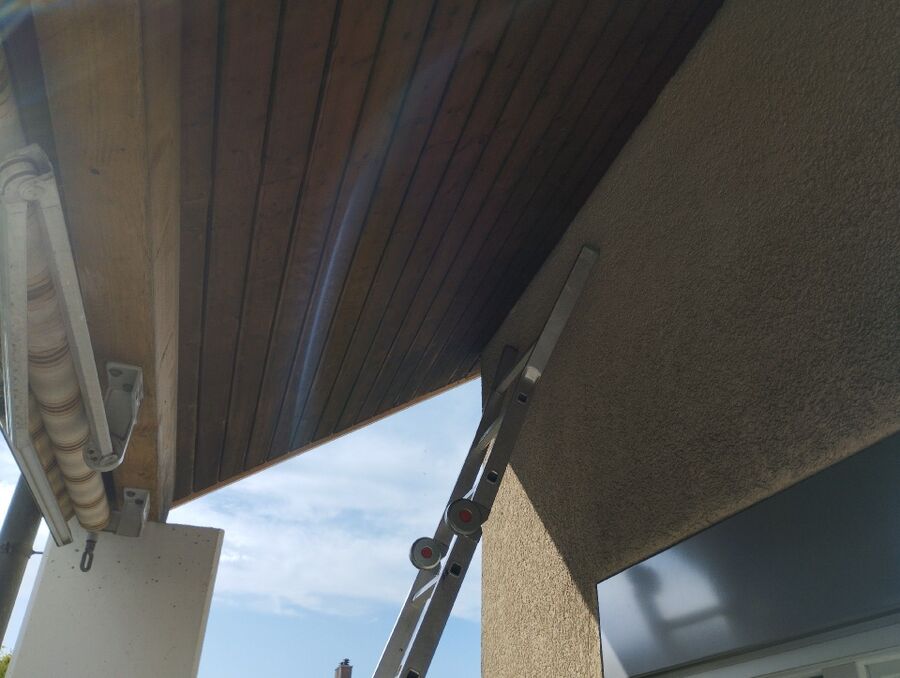 Bee nest at the house remove