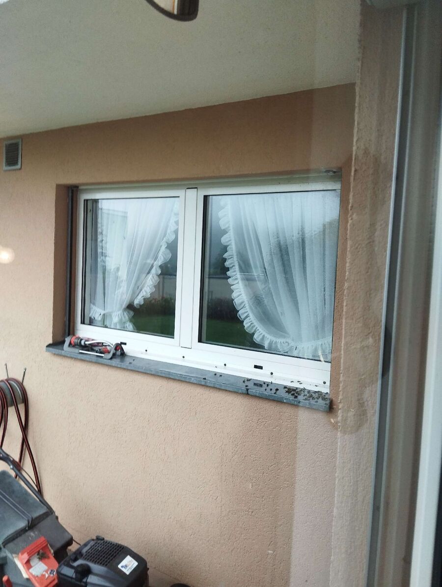 Bee nest at the house remove