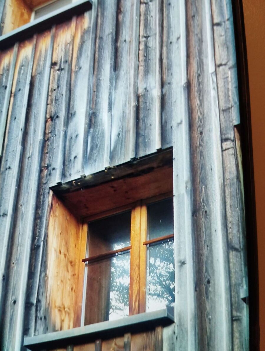 Bee nest at the house remove