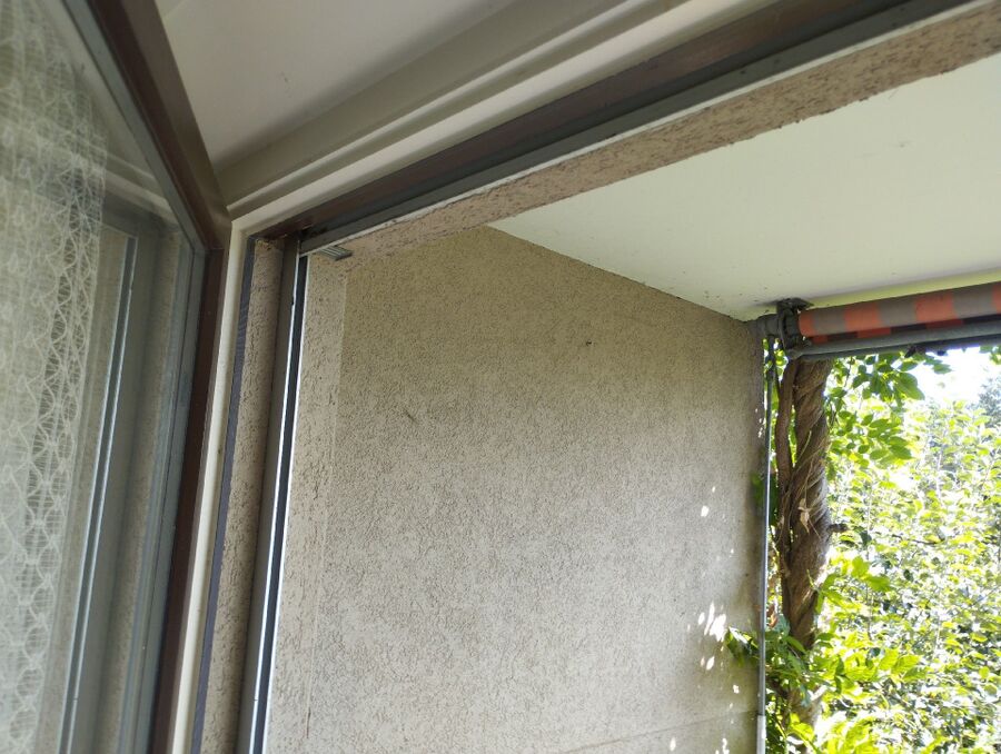 Bee nest at the house remove