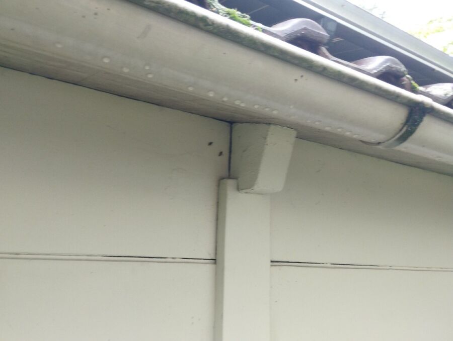 Bee nest at the house remove