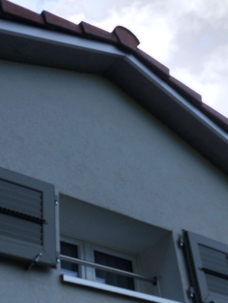 Bee nest at the house remove