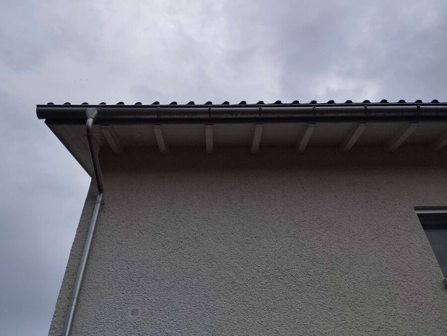 Relocate bees & remove bee nest