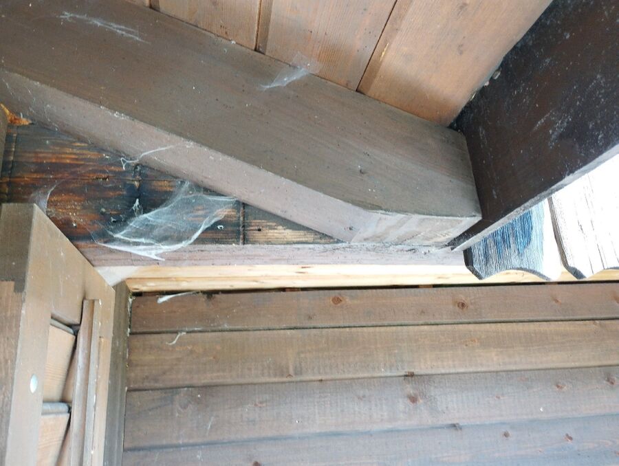 Bee nest at the house remove