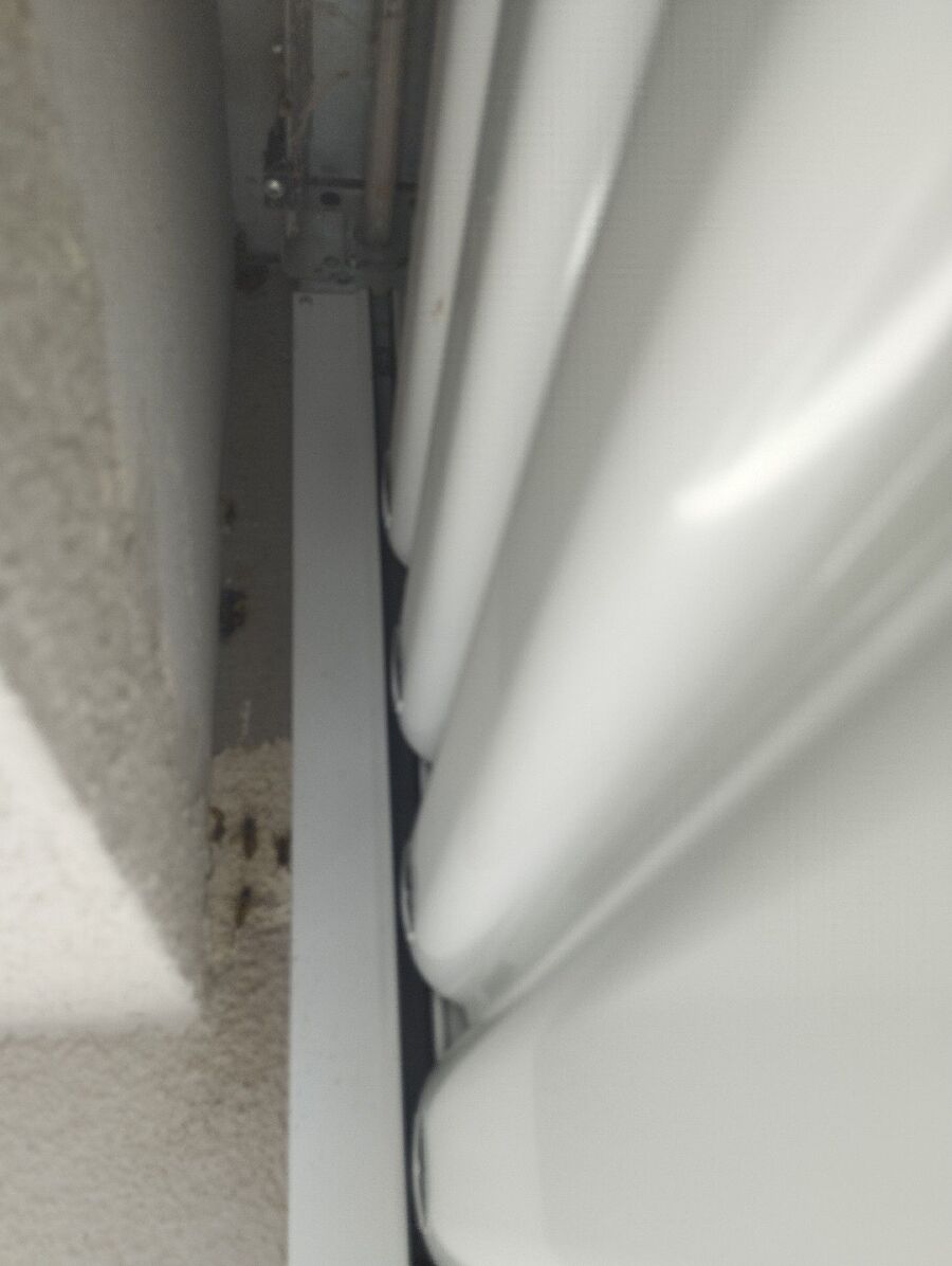 Bee nest at the house remove