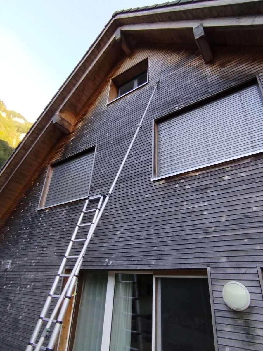 Bee nest at the house remove